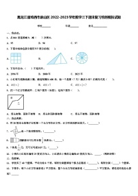 黑龙江省鸡西市麻山区2022-2023学年数学三下期末复习检测模拟试题含解析