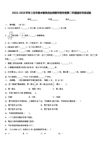 2022-2023学年三亚市陵水黎族自治县数学四年级第二学期期末检测试题含解析