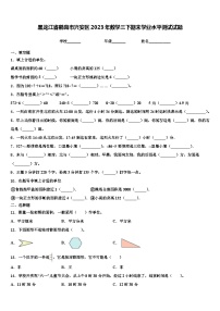 黑龙江省鹤岗市兴安区2023年数学三下期末学业水平测试试题含解析