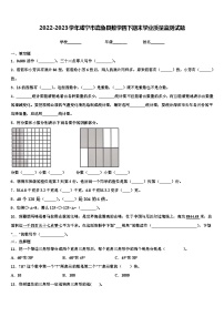 2022-2023学年咸宁市嘉鱼县数学四下期末学业质量监测试题含解析