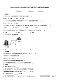 2022-2023学年山东省博兴县试题数学四下期末复习检测试题含解析