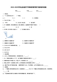 2022-2023学年山东省济宁市邹城市数学四下期末联考试题含解析