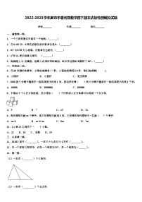 2022-2023学年廊坊市香河县数学四下期末达标检测模拟试题含解析