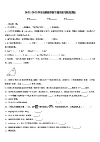 2022-2023学年应县数学四下期末复习检测试题含解析