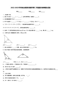 2022-2023学年桓台县四年级数学第二学期期末调研模拟试题含解析