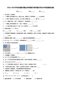 2022-2023学年安徽省马鞍山市和县四下数学期末学业水平测试模拟试题含解析