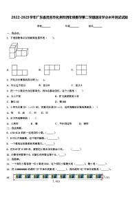 2022-2023学年广东省茂名市化州市四年级数学第二学期期末学业水平测试试题含解析