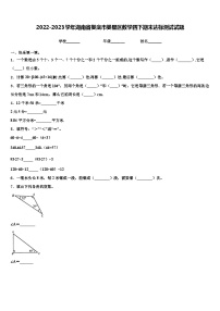 2022-2023学年湖南省娄底市娄星区数学四下期末达标测试试题含解析