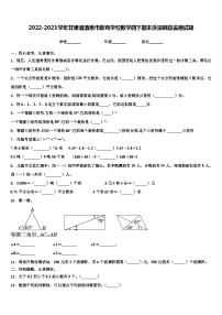 2022-2023学年甘肃省酒泉市新苑学校数学四下期末质量跟踪监视试题含解析