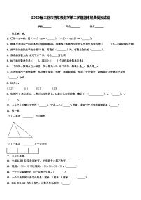 2023届三亚市四年级数学第二学期期末经典模拟试题含解析