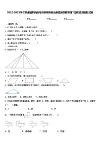 2022-2023学年贵州省黔西南布依族苗族自治州望谟县数学四下期末监测模拟试题含解析