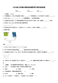 2023届三亚市昌江黎族自治县数学四下期末监测试题含解析