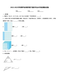 2022-2023学年葫芦岛市数学四下期末学业水平测试模拟试题含解析