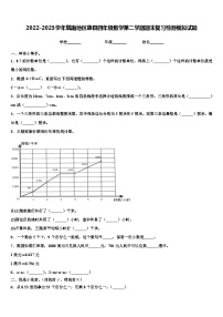 2022-2023学年陇南地区康县四年级数学第二学期期末复习检测模拟试题含解析