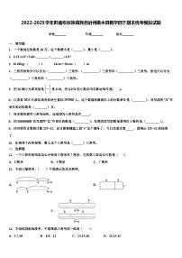 2022-2023学年黔南布依族苗族自治州惠水县数学四下期末统考模拟试题含解析