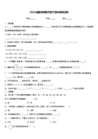 2023届临洮县数学四下期末调研试题含解析