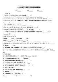 2023届大竹县数学四下期末调研试题含解析