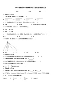 2023届商丘市宁陵县数学四下期末复习检测试题含解析