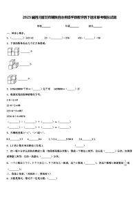 2023届四川省甘孜藏族自治州道孚县数学四下期末联考模拟试题含解析