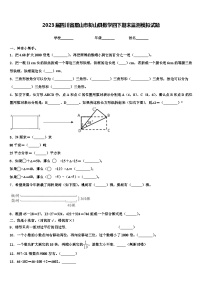 2023届四川省眉山市彭山县数学四下期末监测模拟试题含解析