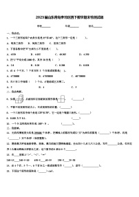 2023届山东青岛李沧区四下数学期末检测试题含解析