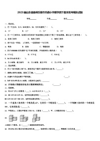 2023届山东省德州乐陵市孔镇小学数学四下期末统考模拟试题含解析