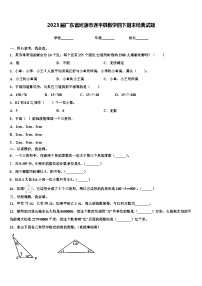 2023届广东省河源市连平县数学四下期末经典试题含解析