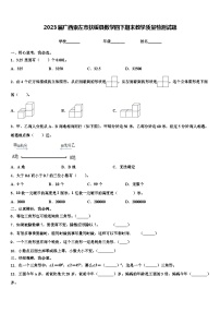 2023届广西崇左市扶绥县数学四下期末教学质量检测试题含解析