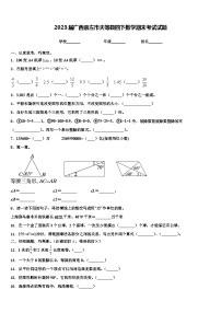 2023届广西崇左市天等县四下数学期末考试试题含解析