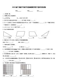 2023届广西南宁市邕宁区蒲庙镇数学四下期末检测试题含解析