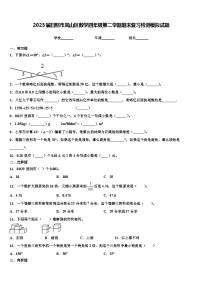 2023届日照市岚山区数学四年级第二学期期末复习检测模拟试题含解析