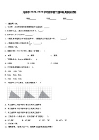 龙井市2022-2023学年数学四下期末经典模拟试题含解析