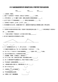 2023届河南省洛阳市伊川县德艺实验小学数学四下期末监测试题含解析