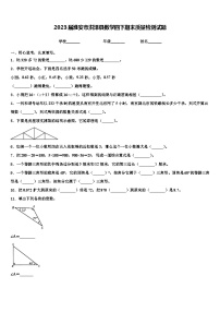 2023届淮安市洪泽县数学四下期末质量检测试题含解析