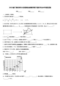 2023届广西河池市大化瑶族自治县数学四下期末学业水平测试试题含解析