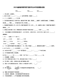 2023届承德市数学四下期末学业水平测试模拟试题含解析