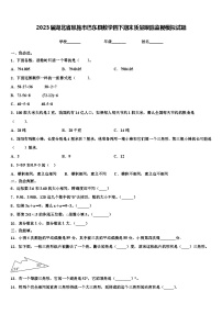 2023届湖北省恩施市巴东县数学四下期末质量跟踪监视模拟试题含解析