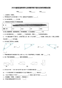 2023届湖北省荆州市公安县数学四下期末达标检测模拟试题含解析