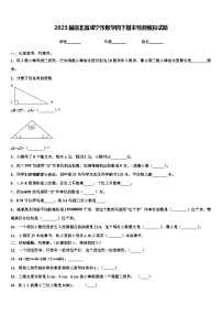 2023届湖北省咸宁市数学四下期末检测模拟试题含解析