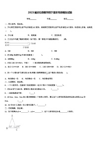 2023届灵石县数学四下期末检测模拟试题含解析