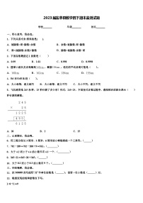 2023届盐亭县数学四下期末监测试题含解析