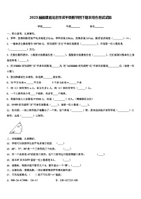 2023届福建省龙岩市武平县数学四下期末综合测试试题含解析