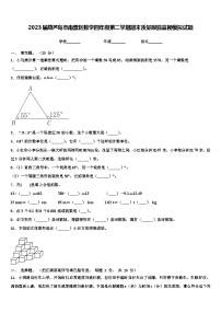 2023届葫芦岛市南票区数学四年级第二学期期末质量跟踪监视模拟试题含解析