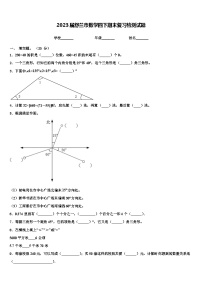 2023届舒兰市数学四下期末复习检测试题含解析