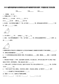 2023届贵州省黔南布依族苗族自治州平塘县数学四年级第二学期期末复习检测试题含解析