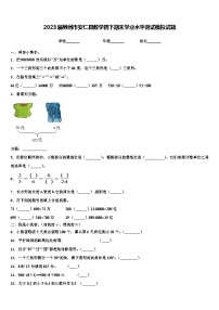 2023届郴州市安仁县数学四下期末学业水平测试模拟试题含解析