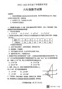 山东省泰安市肥城市2022-2023学年六年级下学期期末考试数学试题