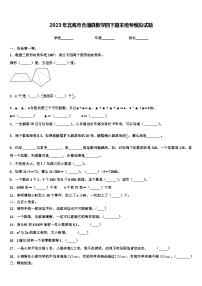 2023年北海市合浦县数学四下期末统考模拟试题含解析