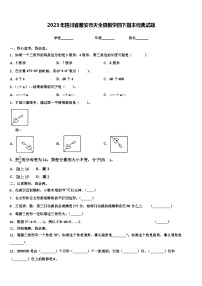 2023年四川省雅安市天全县数学四下期末经典试题含解析