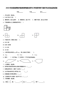 2023年安徽省阜阳市临泉县邢塘街道中心学校数学四下期末学业质量监测试题含解析